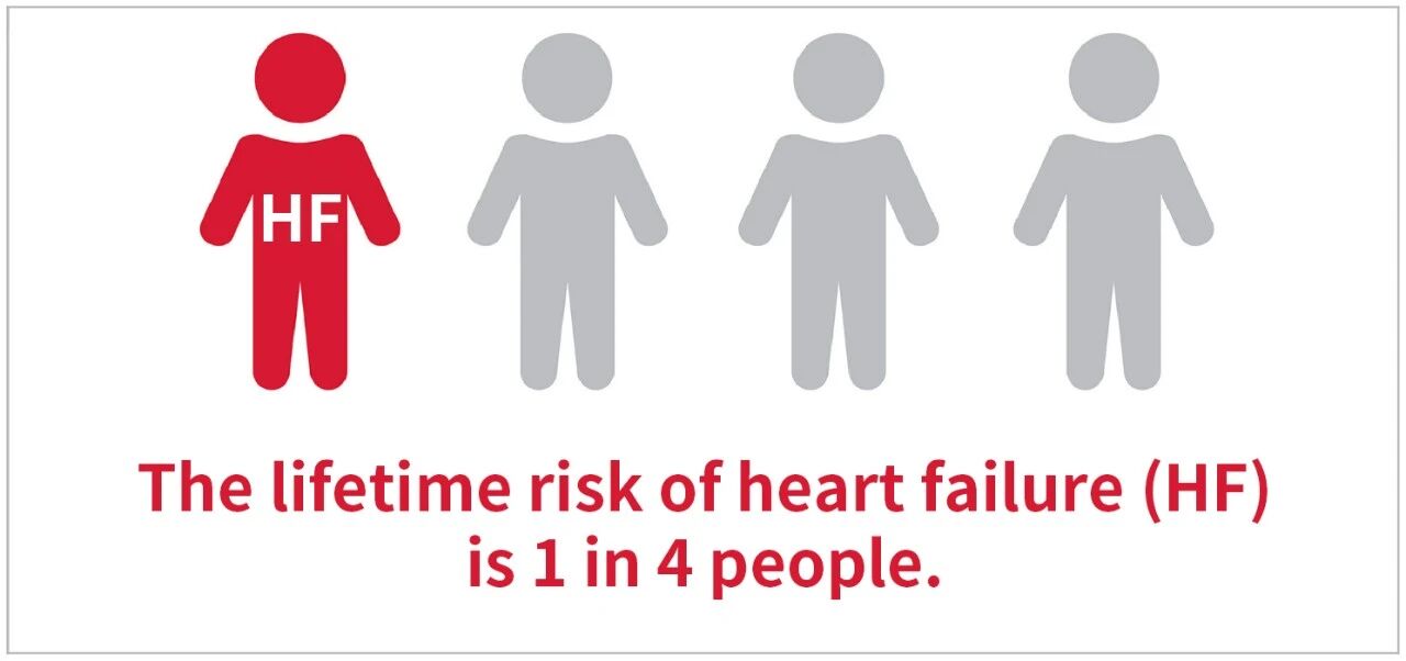 新品上市 | 心衰诊断双包管——聚焦心衰精准诊断，，，，，我们从未止步！